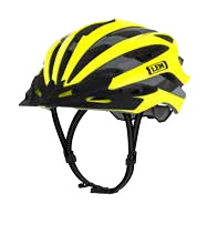 Gavia