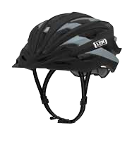 Gavia