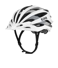 Gavia